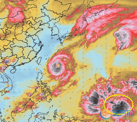 2018年台风康妮路径图分析 25号台风未来会去