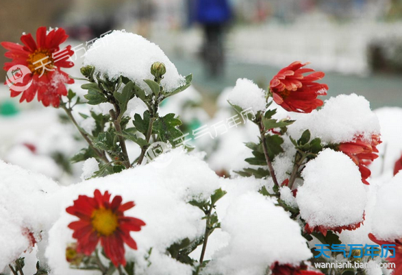 今年立冬是什么季节 2018年立冬节气是冬天吗