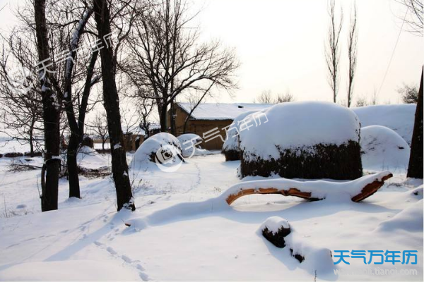 2018大雪纷飞的乡村图片 2018大雪时节静谧的乡村雪景