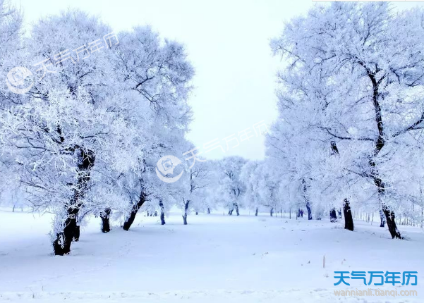 2018大雪纷飞高清图片 2018冬天下雪的唯美图片