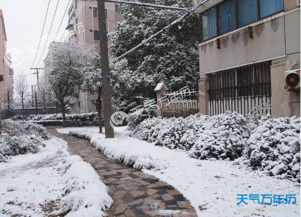 2018大雪纷飞的街头的图片 2018年大雪节气下大雪的图片