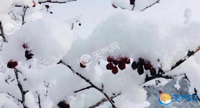 中国冷极内蒙古根河大雪 积雪深厚10月踏雪情趣别致