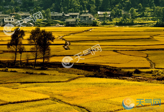 十月份去贵州旅游好吗 2020年10月贵州景色超美的地方