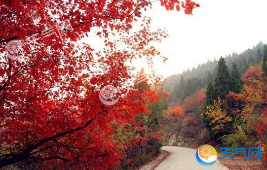 天津十月份旅游攻略景点 2018十月天津最佳赏红叶地点推荐