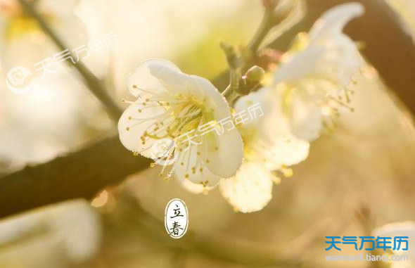 2019年春节是什么节气 2019立春是在春节前还是春节后