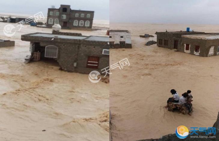 当沙漠被洪水淹没：飓风卢班袭也门骆驼学会游泳