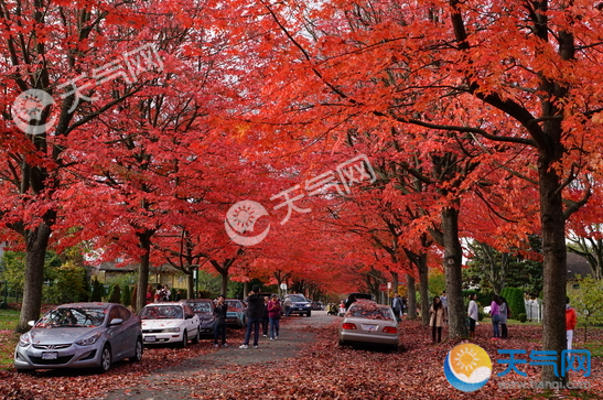 北京十月份去哪里旅游好2018年10月去北京赏“红黄”美景