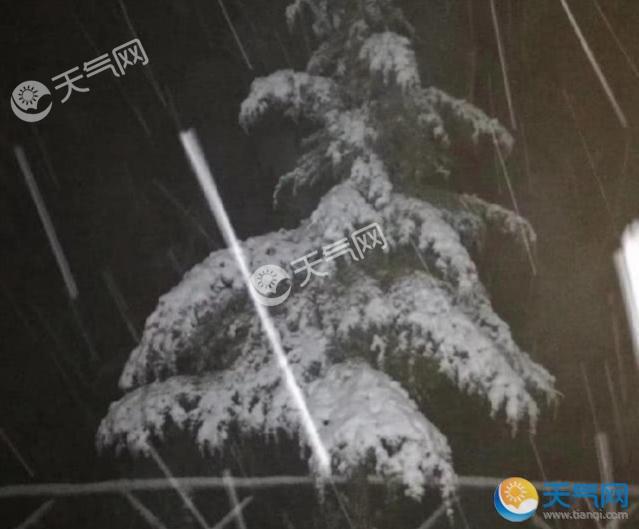 重庆下雪是怎么回事？重庆城口2018年下半年第一场雪现场图