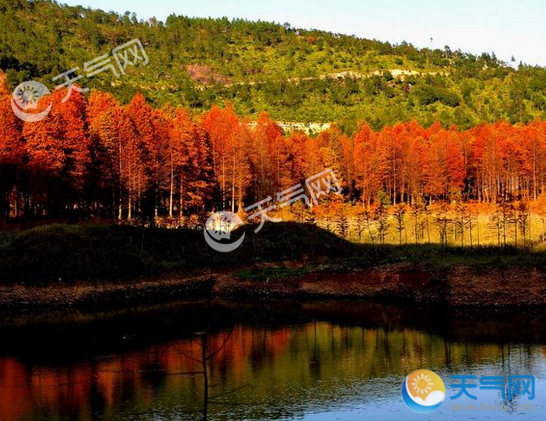 上海十月周边旅游景点 10月份上海周边这些地方美如画