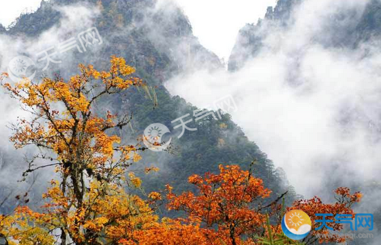 十月份去四川哪里旅游好 十月四川旅游攻略自驾路线行程