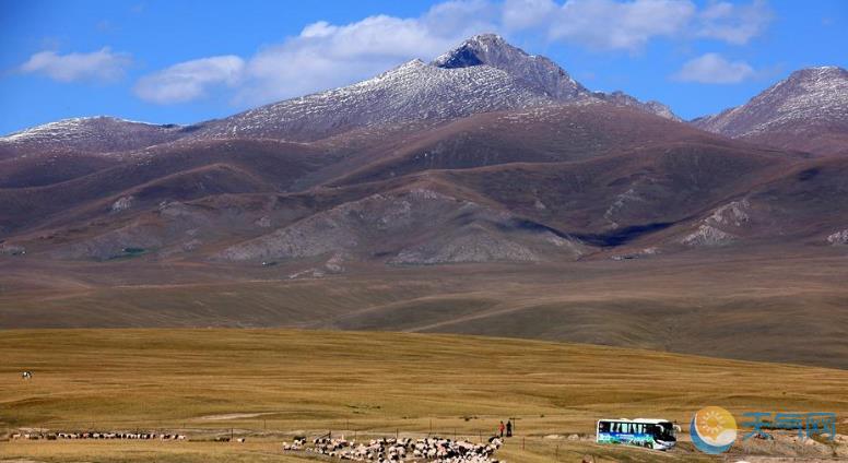 秋天的新疆：万里草原戈壁幻境牛马成群