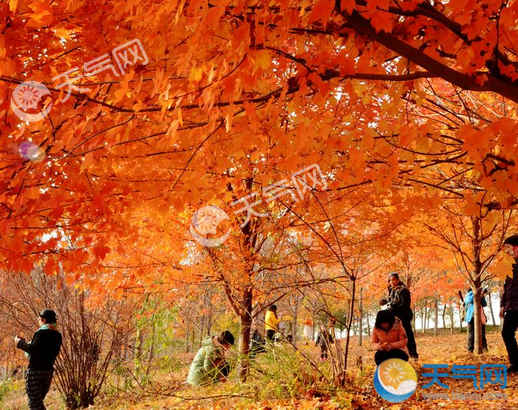 北京十月份去哪里旅游好2018年10月去北京赏“红黄”美景