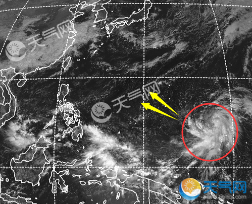 2018年第26号台风玉兔会去哪 接下来会去上海吗