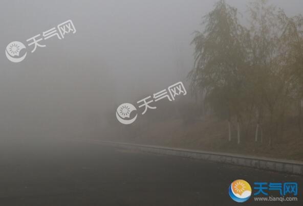 受大雾影响 浙江多条高速封道管控