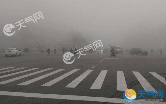 安徽遭遇大雾围城 省内多条高速收费站关闭