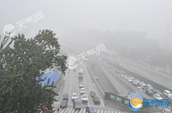 受大雾天气影响 山东多条高速暂时封闭