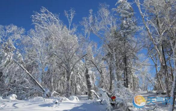 黑龙江局地大到暴雪 哈尔滨今日气温仅有8℃