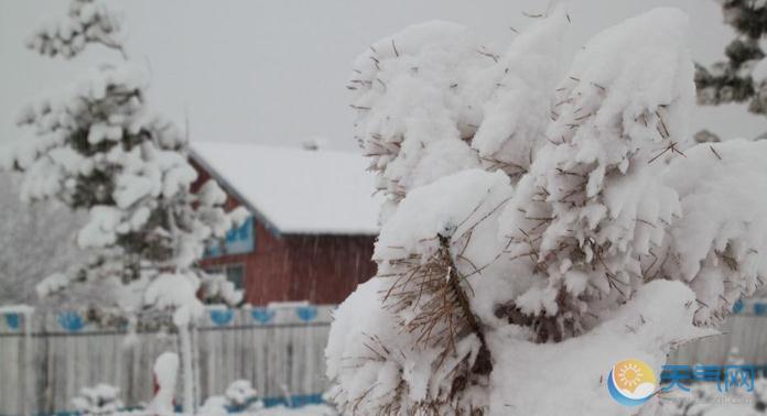 内蒙古根河市降下今年首场暴雪 电力中断50小时供水供热瘫痪