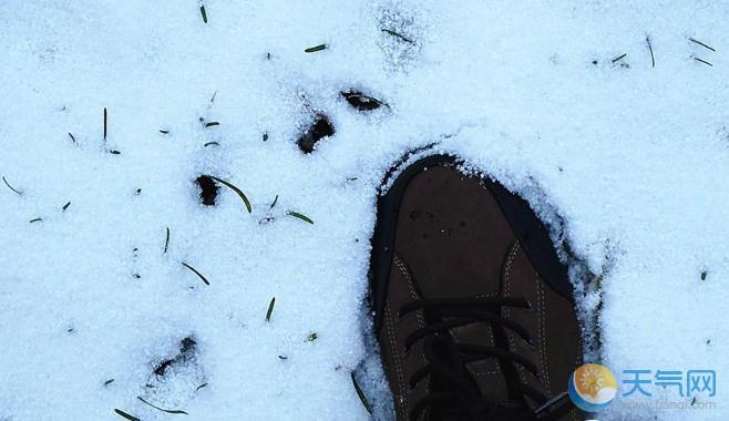 哈尔滨降雪路面湿滑 积雪达8厘米出行困难