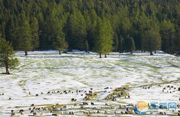 新疆巴州山区仍有小雪 全市气温回升至23℃