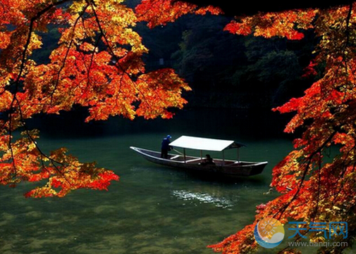 11月去日本哪里好玩 十一月去日本感受秋日浪漫