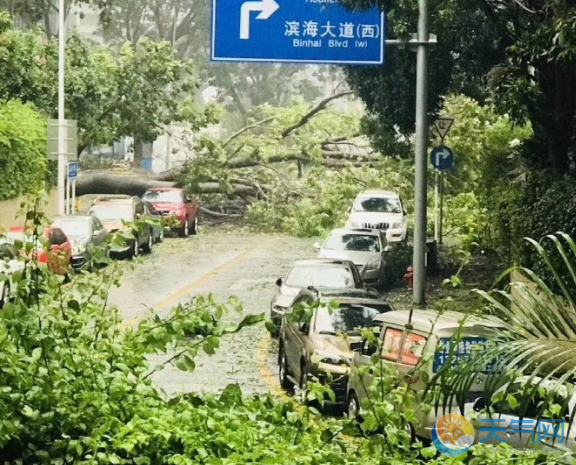 26号台风最新消息2018 玉兔进入南海广东启动台风Ⅳ级应急响应