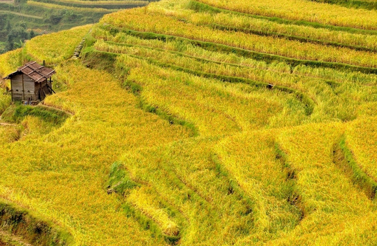 11月贵州哪里最好玩 贵州十一月旅游攻略景点