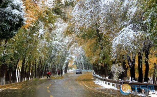 新疆发布寒潮蓝色预警 乌鲁木齐气温跌至-6℃