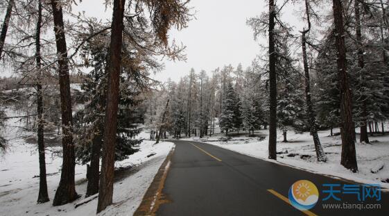 新疆强降雪致道路湿滑 部分高速交通管制