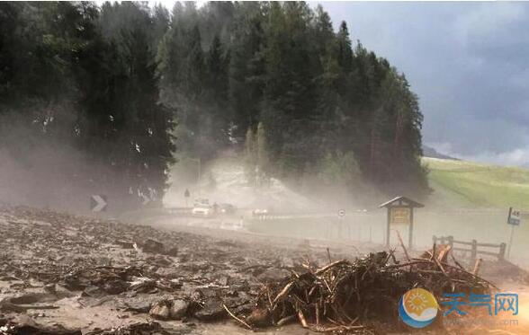 意大利暴雨致30人死亡 1400万株树木倒塌损失惨重