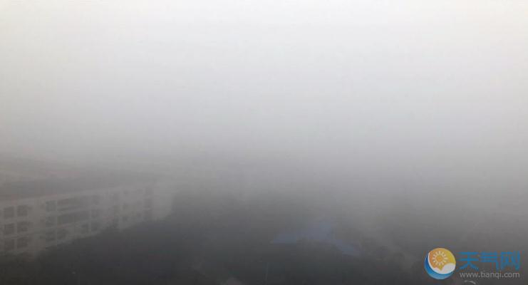 四川资阳今晨大雾锁城 潮湿冷空气迎面而来 - 天气网