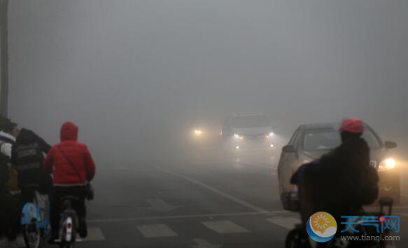 山东遭大雾围城 省内多个高速收费站暂闭