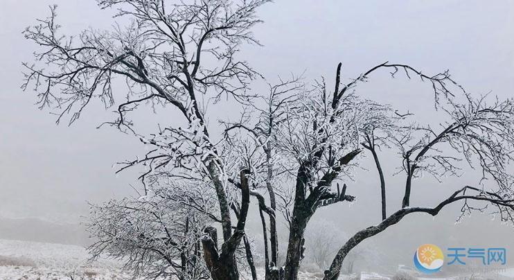 西南东部江南今夜小雨 东北大到暴雪发蓝色预警