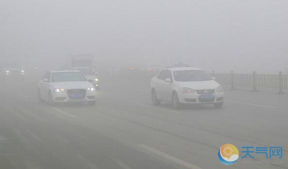 四川遭遇大雾袭击 境内多个高速收费站关闭