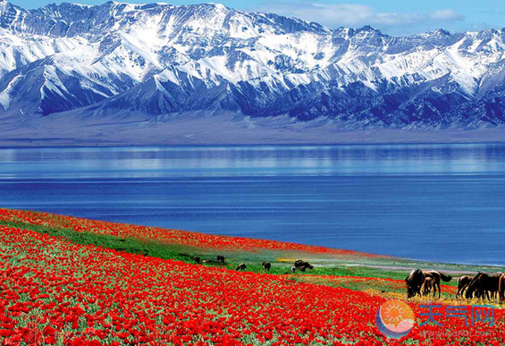 11月去新疆旅游好玩吗 新疆十一月旅游攻略注意事项