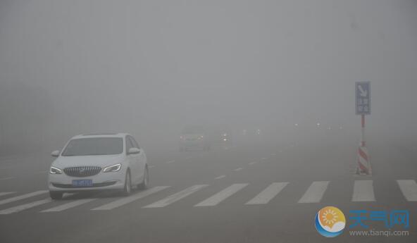 河南发布大雾橙色预警 省内22条高速交通管制