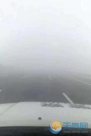 河南大雾高速管制 20条高速全线禁行中午恢复通行