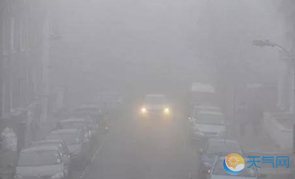 山东发布大雾黄色预警 省内多个高速收费站封闭