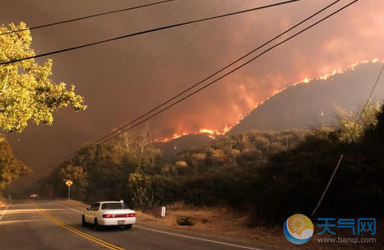 美国加州山火烧死42人 200人失联4.05万公顷森林烧毁