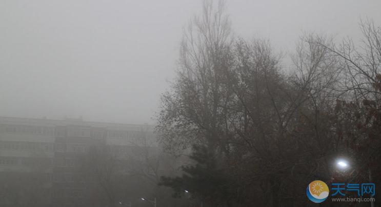 大雾黄色预警：河北河南山东陕西等地现浓雾