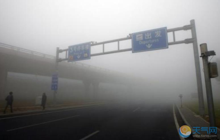北京首都机场大雾警报：9架航班因此取消