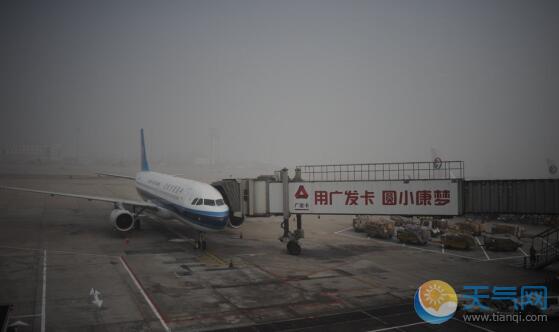 受大雾影响 今日首都机场取消航班9架次