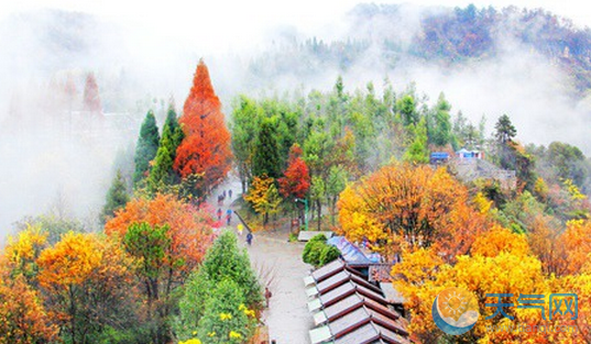11月下旬去湖南张家界旅游路线 张家界11月旅游攻略行程安排