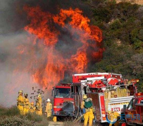 美国加州山火最新消息 烧死71人超1000人失踪