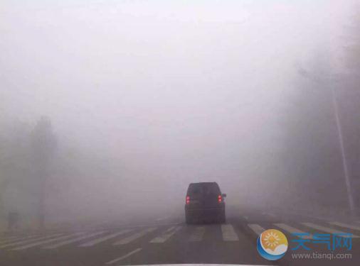 中央气象台大雾黄色预警：山东安徽江苏能见度不足50米