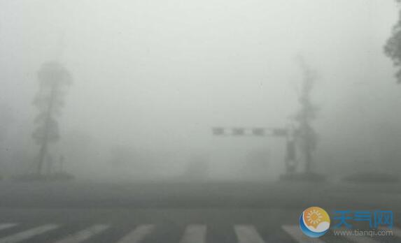 受大雾天气影响 京台高速宁阳段多车相撞