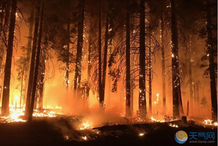 加州山火迎及时雨救场 灭火作用不大反倒或诱发泥石流