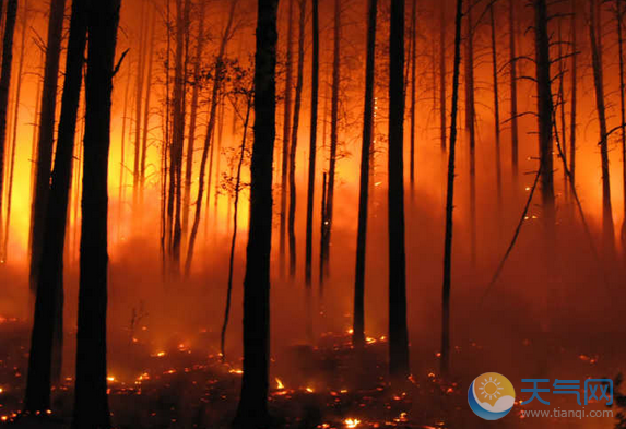 森林火灾多发季节什么时候 秋冬如何防范森林火灾