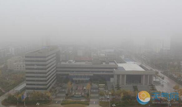 连云港发布大雾橙色预警 部分高速特级管制