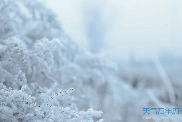 2018大雪节气的句子 2018大雪节气的祝福语